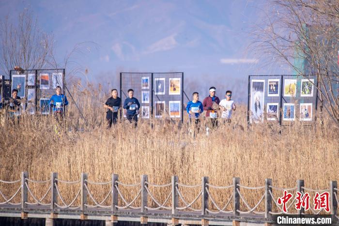冬日延庆野鸭湖半程马拉松点燃激情：湿地风光